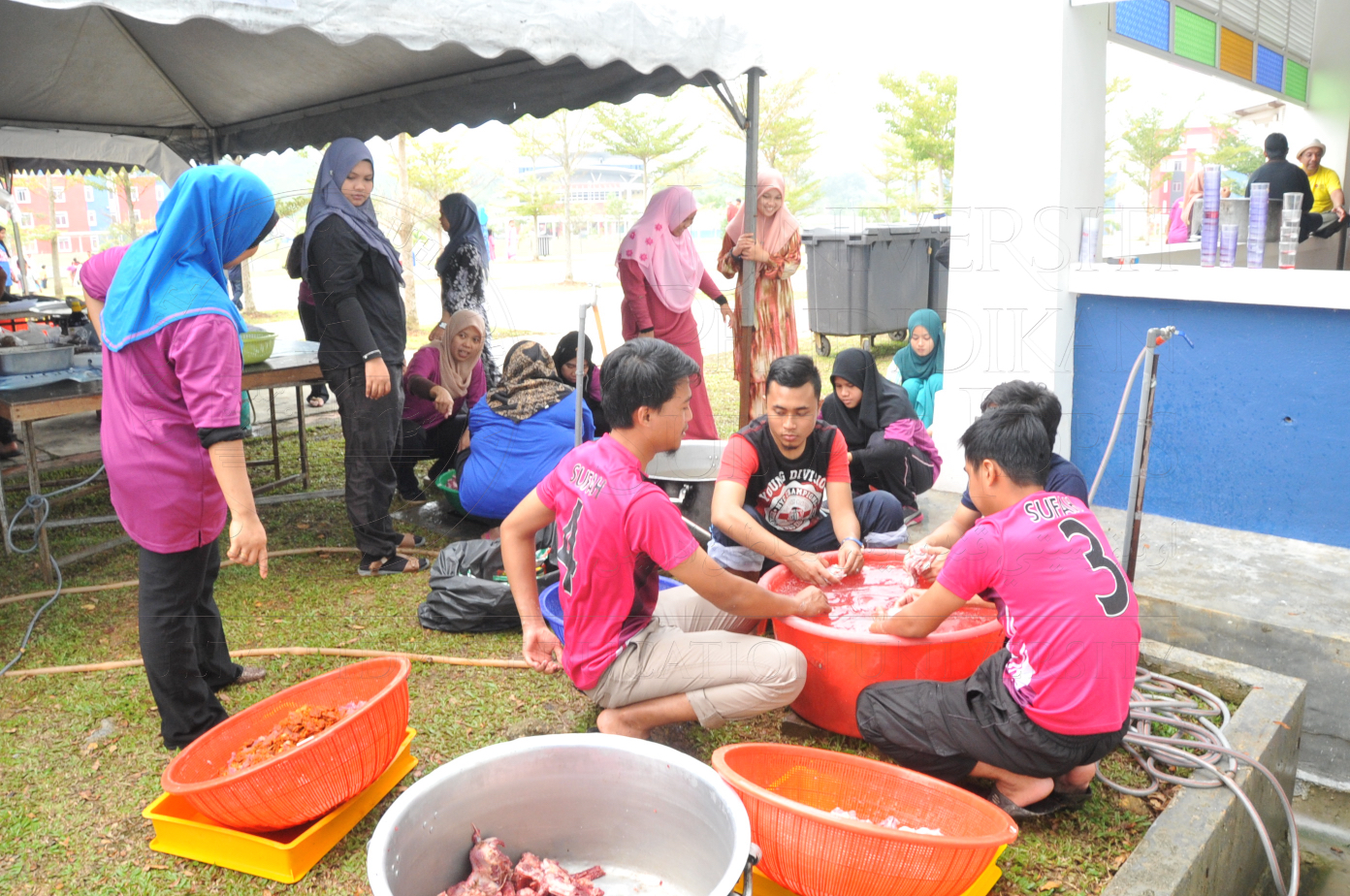 PRO15 150 KORBAN HAS 6970